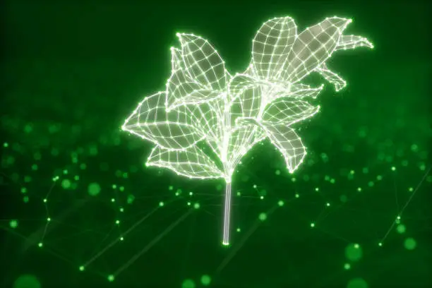 Photo of Leaf In Wireframe Model With Connection Dots On Green Plexus Background
