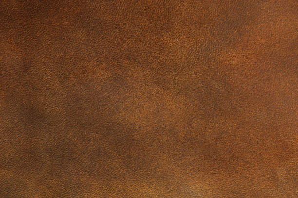 couro - textured textured effect hide leather - fotografias e filmes do acervo