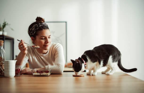 Beautiful Woman Having Breakfast With Her Cat