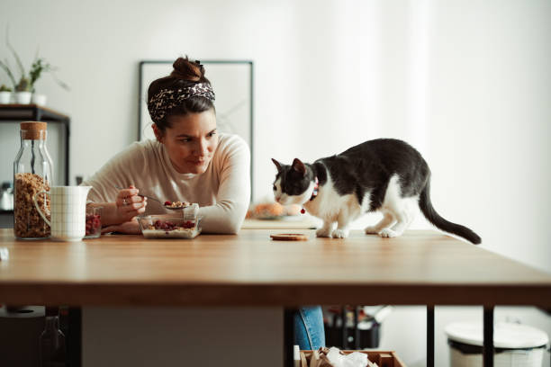 istock Beautiful Woman Having Breakfast With Her Cat 1393639801
