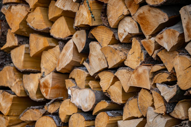 istock A pile of firewood drying before winter 1393641143