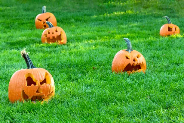 Photo of Halloween Pumpkins