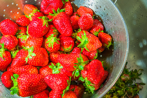 Ripe, fresh strawberries in a metal colander being rinsed in a kitchen sink.