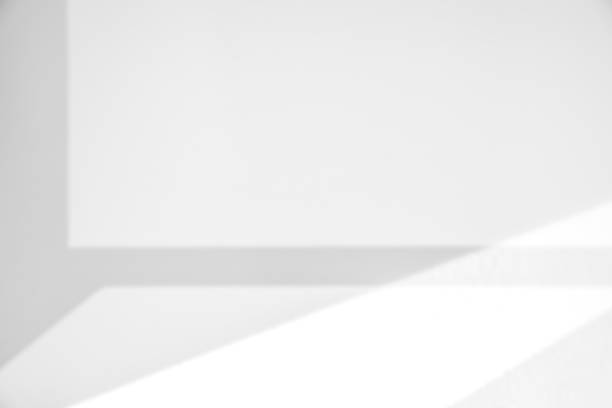 istock Natural Light and shadow from window overlay effect on  white background. Silhouette light abstract can use for wallpaper ,mock up design.Black and white blurred image backdrop. 1393643905