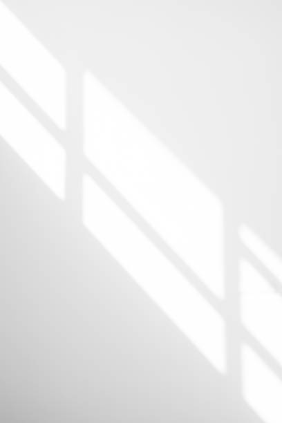 istock Natural Light and shadow from window overlay effect on  white background. Silhouette light abstract can use for wallpaper minimal,mock up design.Black and white blurred image backdrop. 1393643906