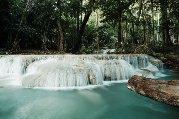 ruscello nel parco nazionale di erawan - erawan falls foto e immagini stock