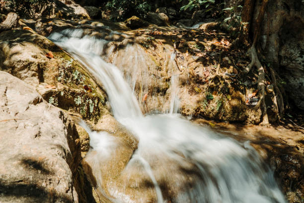 stream in erawan national park - erawan falls fotos imagens e fotografias de stock