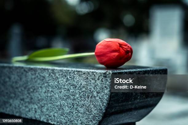 Cemetery Stock Photo - Download Image Now - Grave, Flower, Tomb