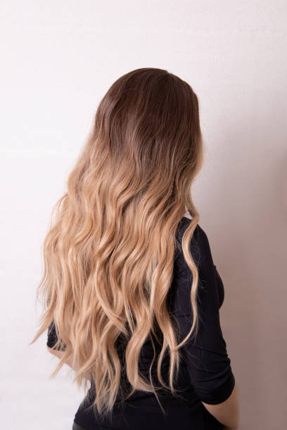 istock Female back with long, curly, brunette hair 1393653451