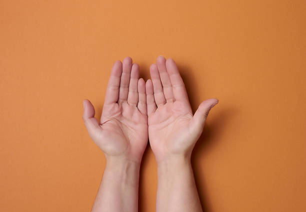 istock two female hands on a brown background. Empty palms open, top view 1393653865