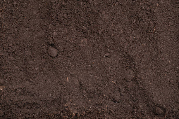 istock Black land for plant background. Top view. 1393654571