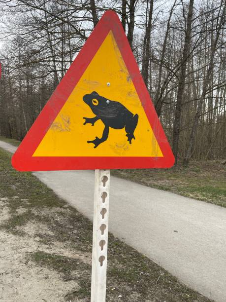 istock road sign - watch out frogs! 1393654661
