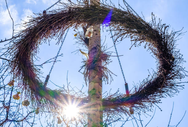 Maibaum Pictures | Download Free Images on Unsplash