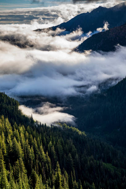 istock blue skies and clouds partially covering the Olympic mountain range as viewed from Hurricane Ridge trail in Olympic National park in Washington. 1393658452