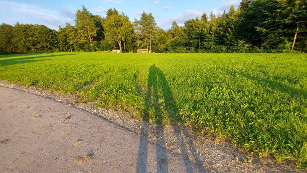istock Couple in nature 1393665440