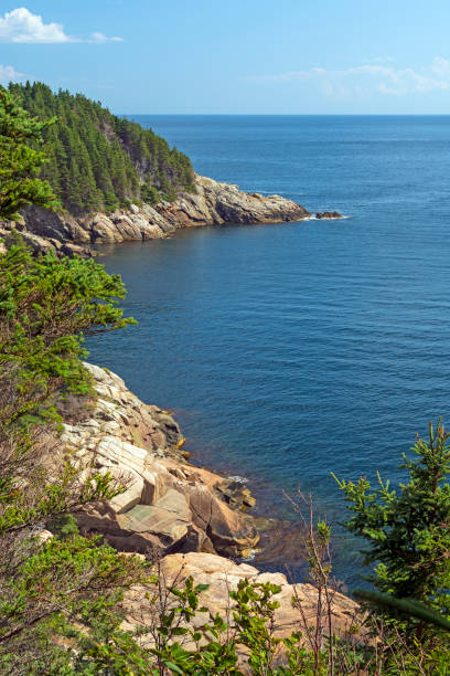 istock Quiet Cove on a Rocky Coastline 1393666868