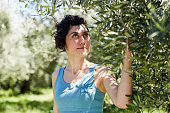 Portrait of a beautiful young woman in orchard of olive trees in sunny summer day