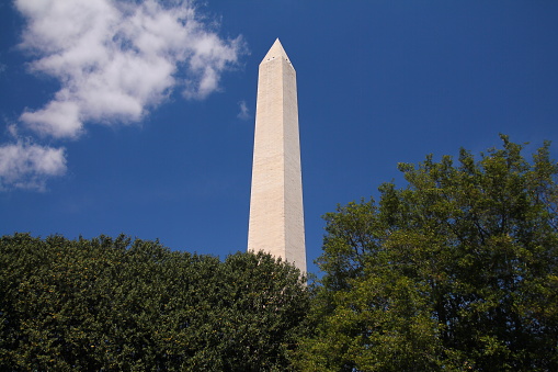 The white Washington obelisk monument with the green trees at the basis in Washington DC