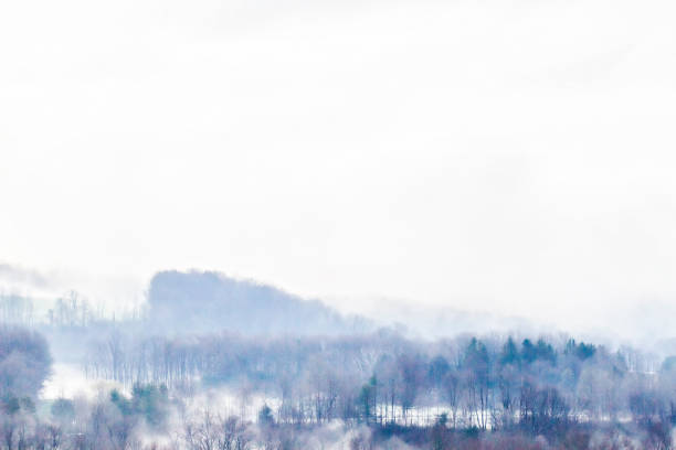 Winter's landscape with a beautiful view of a lake.