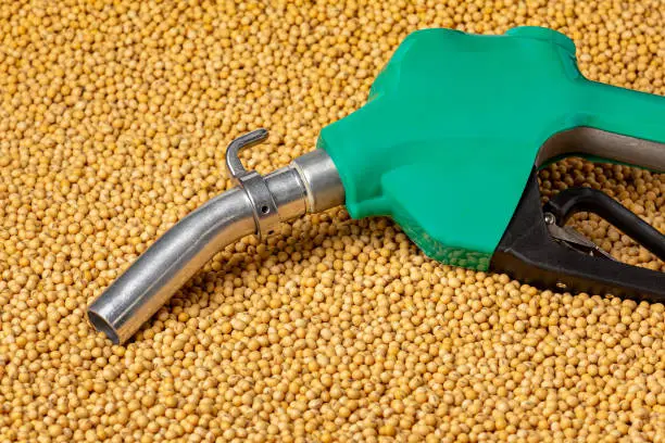 Photo of Diesel fuel nozzle and soybeans. Biodiesel, biofuel, agriculture and renewable clean energy concept.