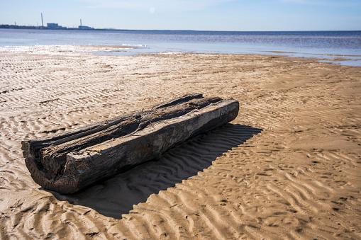 a weathered soaked log lies on the sand on the shore of the bay against the background of a visible nuclear power plant. the concept of ecology, environmental pollution