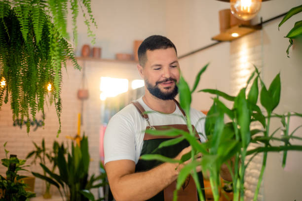 istock Growing plants. plant and pot shop 1393687038