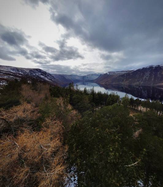 istock Trees with Loch Muick and Mountains in the background 1393690630