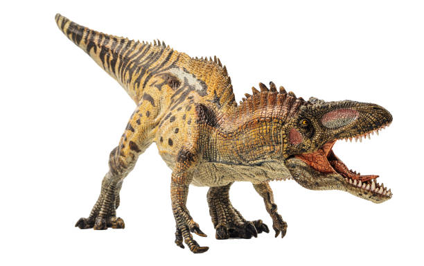 istock Acrocanthosaurus , Dinosaur on white background Clipping path 1393693859