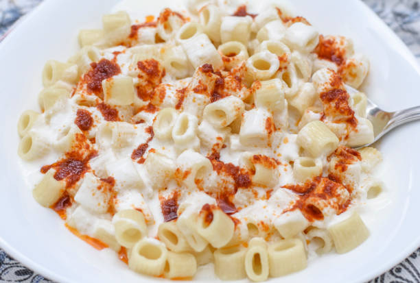 istock Pasta with tomato paste and yogurt sauce in a dinner plate 1393694874