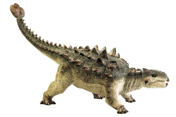istock Ankylosaurus   ,dinosaur on isolated background . Clipping path 1393699650