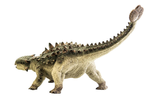 istock Ankylosaurus   ,dinosaur on isolated background . Clipping path 1393699663
