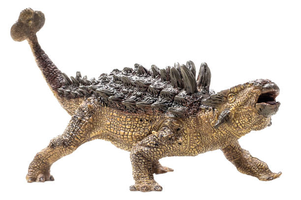 istock Ankylosaurus   ,dinosaur on isolated background . Clipping path 1393699675
