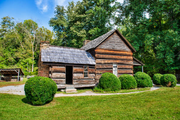 istock Log Cabin in National Park 1393700546