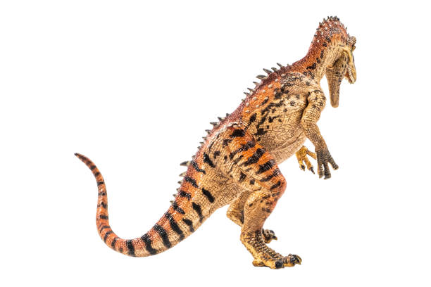 istock Cryolophosaurus  , Dinosaur on white background Clipping path 1393705228