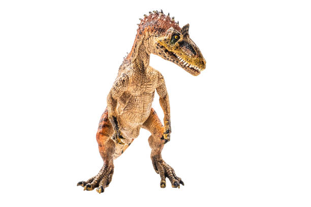 istock Cryolophosaurus  , Dinosaur on white background Clipping path 1393705238