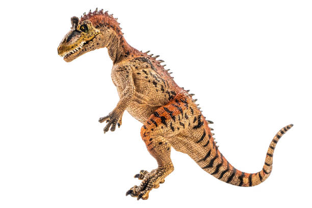 istock Cryolophosaurus  , Dinosaur on white background Clipping path 1393705242
