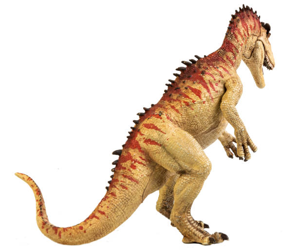 istock Cryolophosaurus  , Dinosaur on white background Clipping path 1393705252