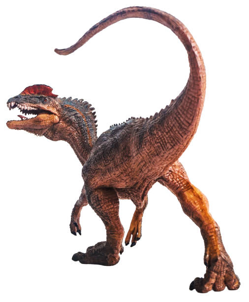 istock dinosaur , Dilophosaurus on white background Clipping path 1393705808