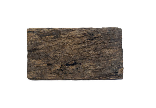 istock log wood texture isolated on white background,Clipping path 1393705826