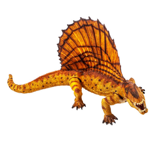 istock Dimetrodon  Dinosaur on white background Clipping path 1393706544