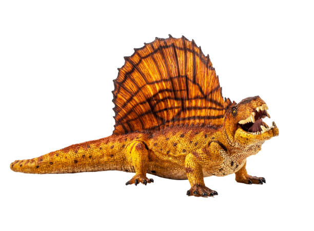 istock Dimetrodon  Dinosaur on white background Clipping path 1393706551