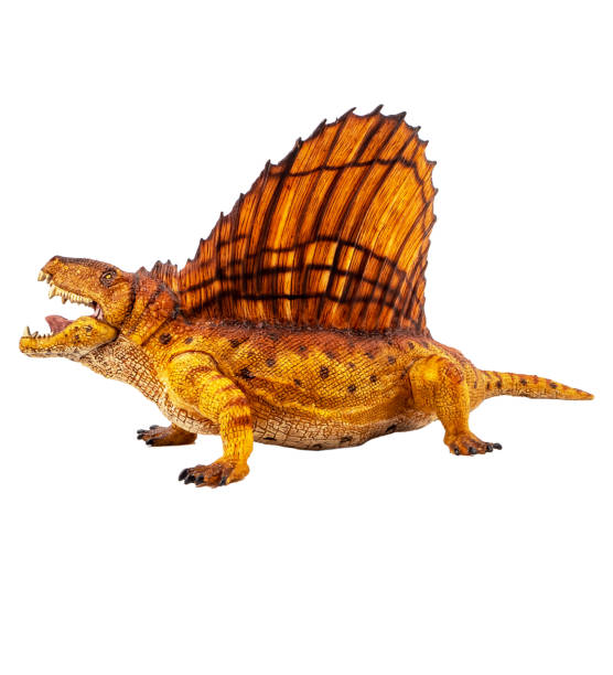 istock Dimetrodon  Dinosaur on white background Clipping path 1393706568