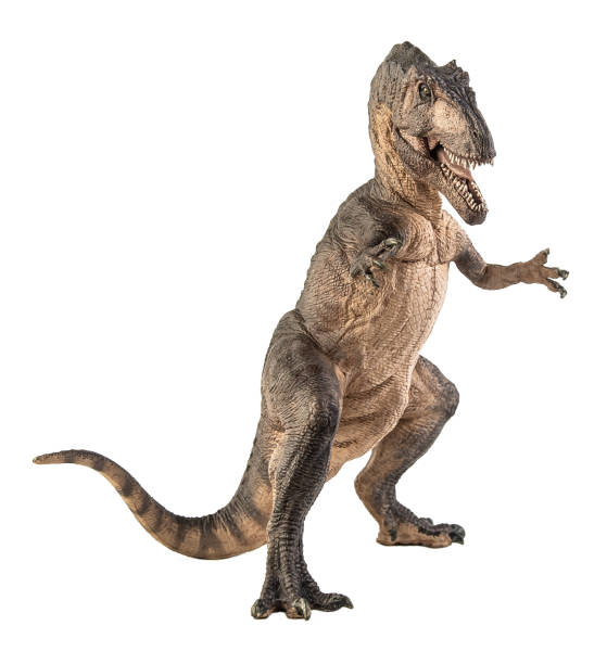 istock Giganotosaurus  ,dinosaur on white background . Clipping path 1393711002