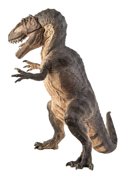 istock Giganotosaurus  ,dinosaur on white background . Clipping path 1393711013