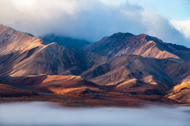dramatic landscape of mountain peaks and mountain ranges inside Denali National Park during autumn season dramatic landscape of Polychrome mountain peaks and mountain ranges inside Denali National Park during in Alaska autumn season. denali mountain stock pictures, royalty-free photos & images