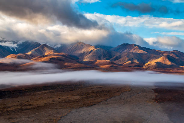 istock dramatic landscape of mountain peaks and mountain ranges inside Denali National Park during autumn season 1393716043
