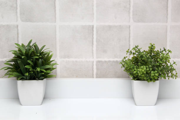 White pots with green plants on a white background with gray squares as a minimalist