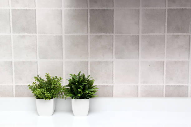 istock White pots with green plants on a white background with gray squares as a minimalist desktop or kitchen background 1393719992