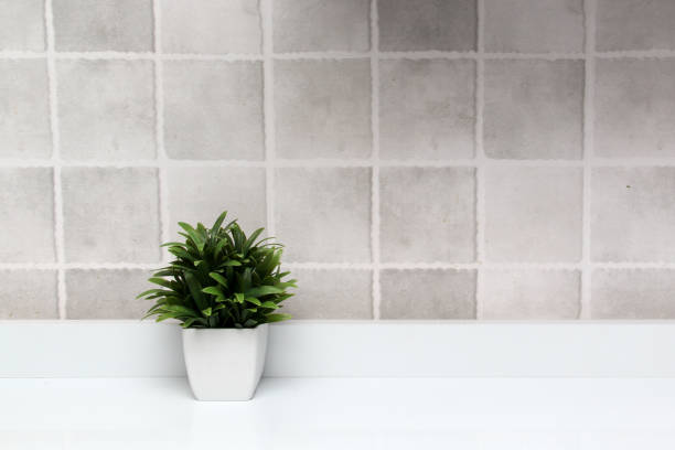 istock White pots with green plants on a white background with gray squares as a minimalist desktop or kitchen background 1393720021