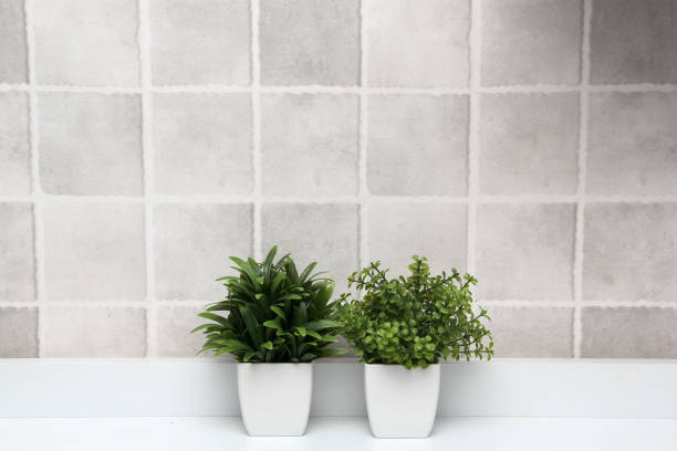 istock White pots with green plants on a white background with gray squares as a minimalist desktop or kitchen background 1393720055
